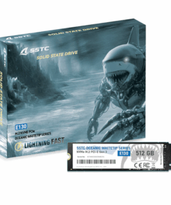 Ổ SSD SSTC Oceanic Whitetip E130 512GB M.2 2280 PCIe NVMe (Gen 3x4) NEW